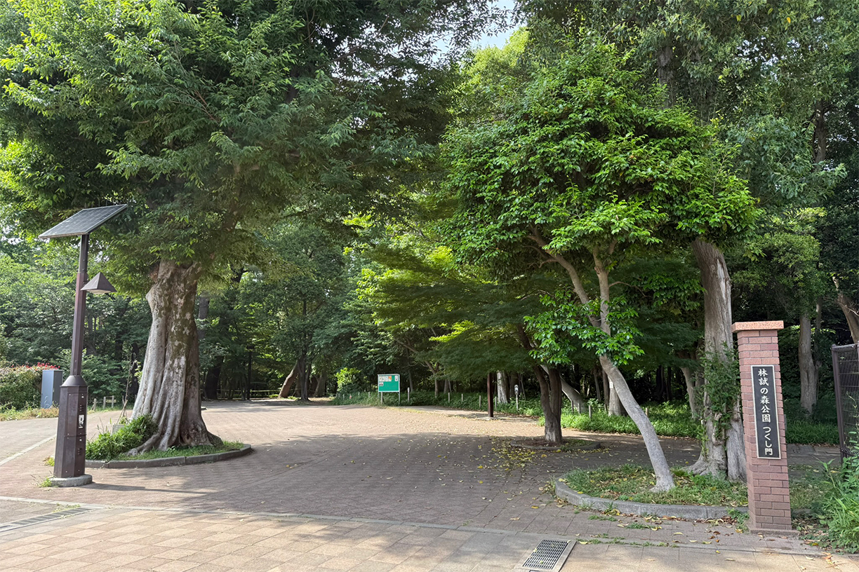 林試の森公園 徒歩約9分(約650m)